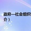 政府—社会组织博弈研究（关于政府—社会组织博弈研究简介）