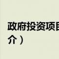 政府投资项目管理（关于政府投资项目管理简介）