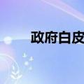 政府白皮书（关于政府白皮书简介）