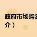 政府市场购买行为（关于政府市场购买行为简介）