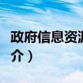 政府信息资源管理（关于政府信息资源管理简介）