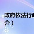 政府依法行政教程（关于政府依法行政教程简介）