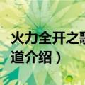 火力全开之歌迷之道（关于火力全开之歌迷之道介绍）