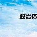 政治体制（关于政治体制简介）
