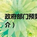 政府部门预算管理（关于政府部门预算管理简介）