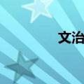 文治阁（关于文治阁简介）