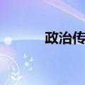政治传播（关于政治传播简介）