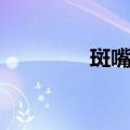 斑嘴鸭（关于斑嘴鸭简介）