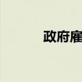 政府雇员（关于政府雇员简介）