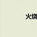 火烧云（关于火烧云介绍）
