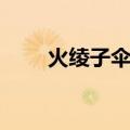 火绫子伞舞（关于火绫子伞舞介绍）