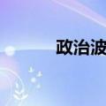 政治波普（关于政治波普简介）