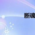 断魂谷（关于断魂谷简介）