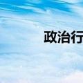 政治行为（关于政治行为简介）