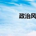 政治风险（关于政治风险简介）