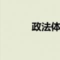政法体制（关于政法体制简介）