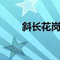 斜长花岗岩（关于斜长花岗岩简介）