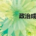 政治成本（关于政治成本简介）