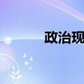 政治现实（关于政治现实简介）