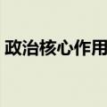 政治核心作用论（关于政治核心作用论简介）