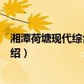 湘潭荷塘现代综合物流园（关于湘潭荷塘现代综合物流园介绍）