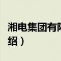湘电集团有限公司（关于湘电集团有限公司介绍）