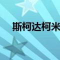 斯柯达柯米克（关于斯柯达柯米克简介）
