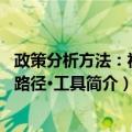 政策分析方法：视角·路径·工具（关于政策分析方法：视角·路径·工具简介）