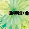 斯特维·亚戈（关于斯特维·亚戈简介）