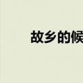 故乡的候鸟（关于故乡的候鸟简介）