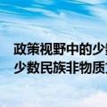 政策视野中的少数民族非物质文化遗产（关于政策视野中的少数民族非物质文化遗产简介）
