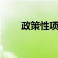 政策性项目（关于政策性项目简介）