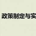 政策制定与实施（关于政策制定与实施简介）