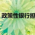 政策性银行担保（关于政策性银行担保简介）