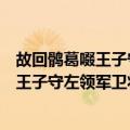 故回鹘葛啜王子守左领军卫将军墓志并序（关于故回鹘葛啜王子守左领军卫将军墓志并序简介）