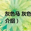 灰色马 灰色的骑手（关于灰色马 灰色的骑手介绍）