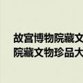故宫博物院藏文物珍品大系·金陵诸家绘画（关于故宫博物院藏文物珍品大系·金陵诸家绘画简介）