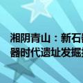 湘阴青山：新石器时代遗址发掘报告（关于湘阴青山：新石器时代遗址发掘报告介绍）