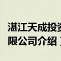 湛江天成投资有限公司（关于湛江天成投资有限公司介绍）