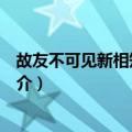 故友不可见新相知者有数（关于故友不可见新相知者有数简介）