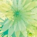 敋（关于敋简介）