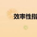 效率性指标（关于效率性指标简介）