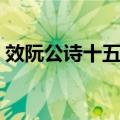 效阮公诗十五首（关于效阮公诗十五首简介）