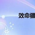 效命疆场（关于效命疆场简介）