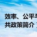 效率、公平与公共政策（关于效率、公平与公共政策简介）