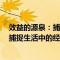 效益的源泉：捕捉生活中的经济学身影（关于效益的源泉：捕捉生活中的经济学身影简介）