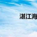 湛江海鲜（关于湛江海鲜介绍）
