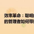 效率革命：聪明的管理者如何带队伍（关于效率革命：聪明的管理者如何带队伍简介）