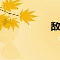 敌党（关于敌党简介）