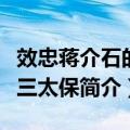 效忠蒋介石的十三太保（关于效忠蒋介石的十三太保简介）